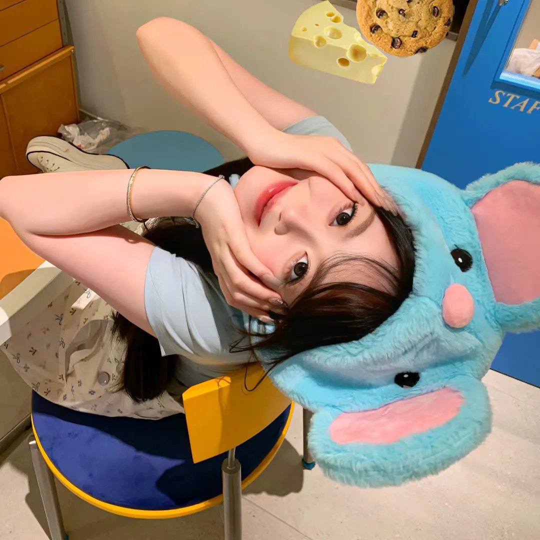 宠物店的日子