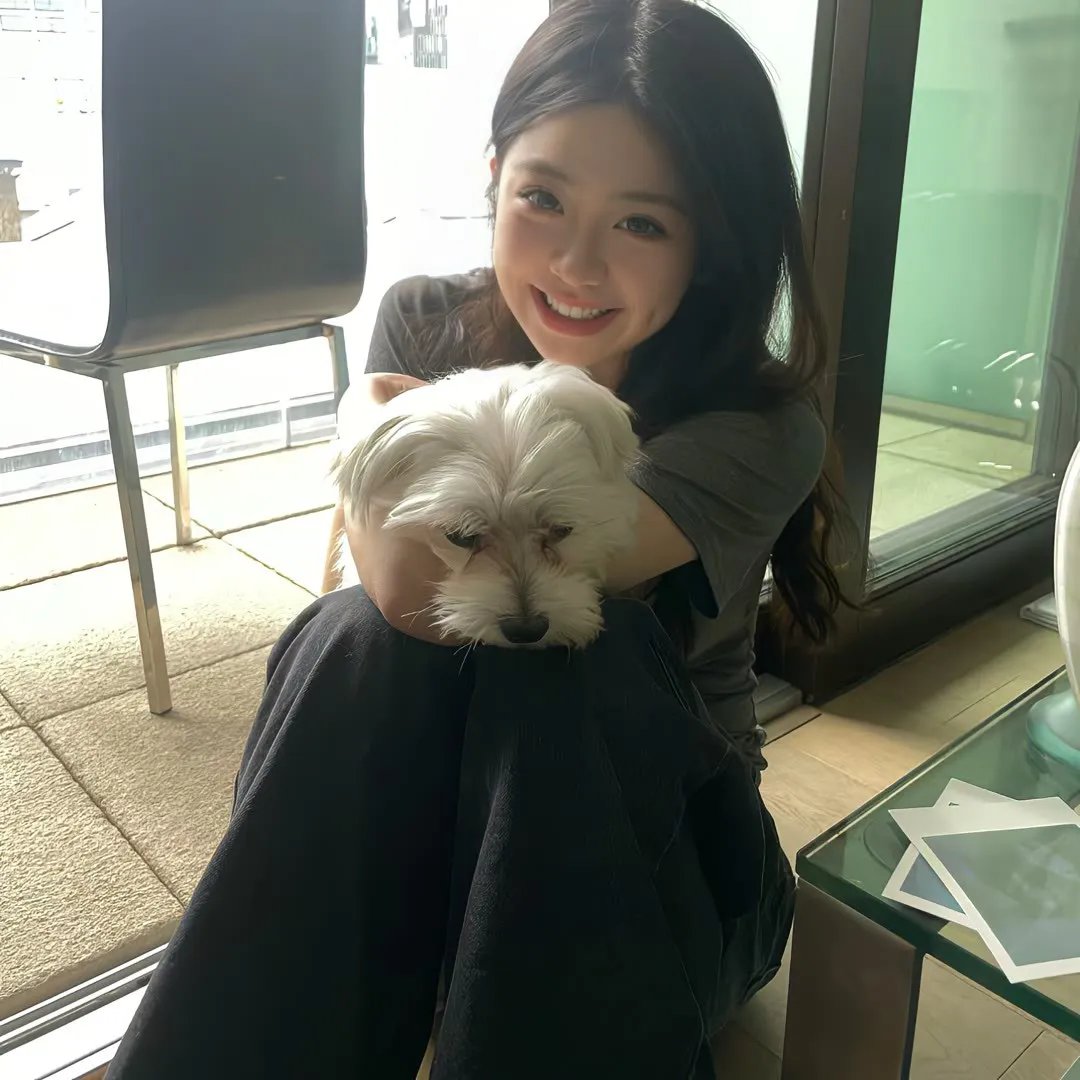 派特森与芬达猫